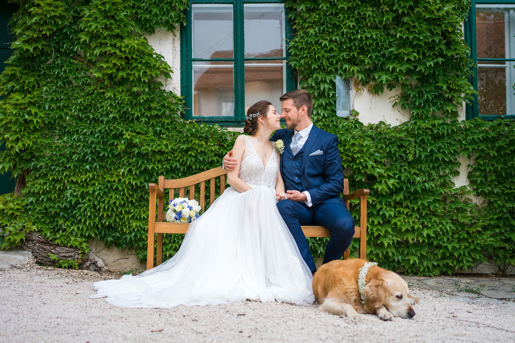 heiraten in zeiten von covid 19 marlies florian magische hochzeit in begleitung von hund nelly schmiede am ravelsbach